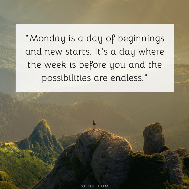 Motivational Hilarious Monday Quotes: A Fun Start to the Week