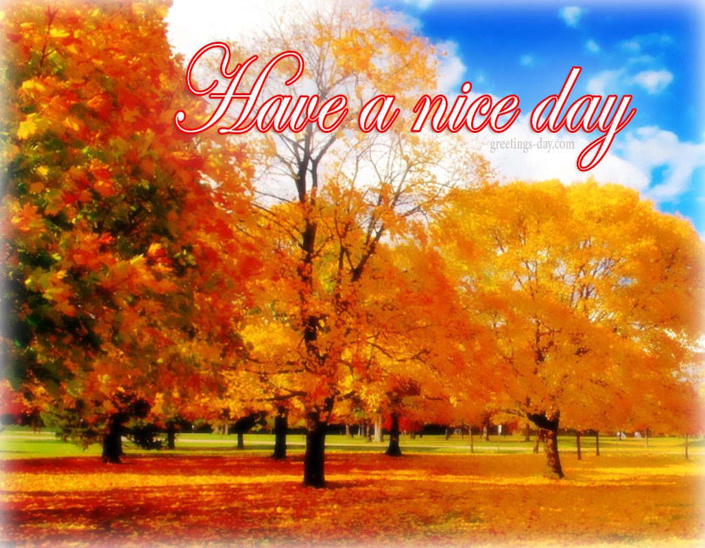 Nice Day Messages: Send a Little Sunshine Today